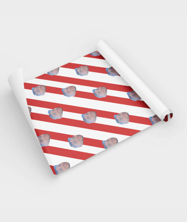 FaceWrap – Image 4